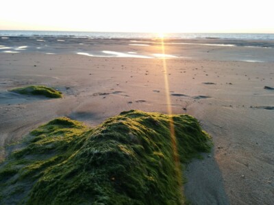 Atlantic ocean sunset at Soulac