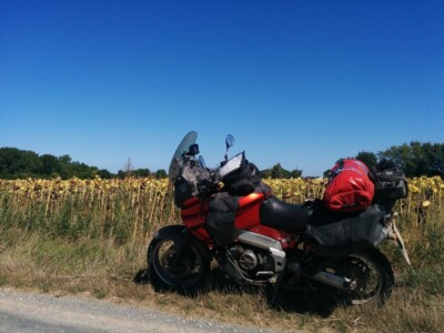 Endless fields of sunflowers on the French countryside