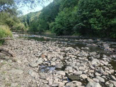 Stream near cascade de Coo
