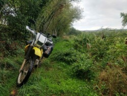 Lots of wet and overgrown tracks on the TET in the Morvan
