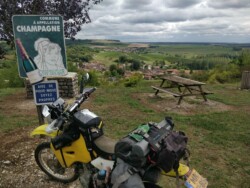 Champagne region at Bar sur Aube