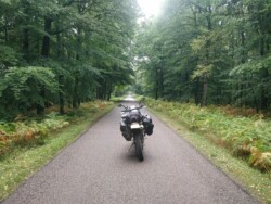 Deserted road in the Belgian Ardennes